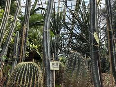 -呀路古热带植物园
