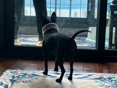 -爱侣宠医·鹦鹉专科·小型哺乳类·异宠专科(灵石路店)