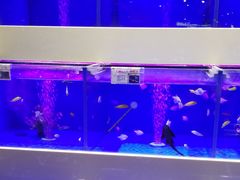 -大润发(南湖店)