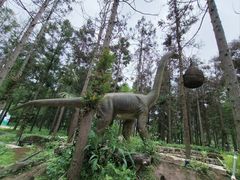 -东平国家森林公园
