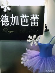 -德加芭蕾·舞蹈培训