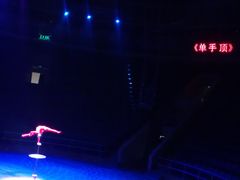 -武汉杂技厅