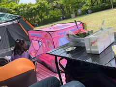 -青枫公园