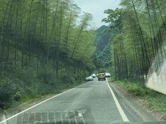 -水墨汀溪风景区
