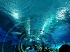 -海合安武汉极地海洋公园