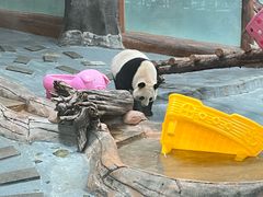-青藏高原野生动物园