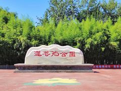 -莲花池公园