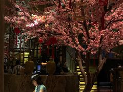 -金轩中餐厅 Jin Xuan(浦东丽思卡尔顿酒店)