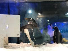 -台州海洋世界