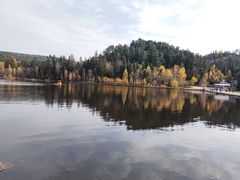 -五营红松林海景区