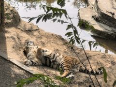 -大连森林动物园