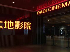 -大地影院(上海南汇店)