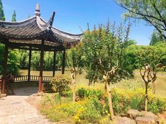 -瀛洲公园