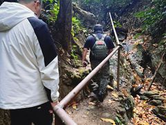 -西双版纳原始森林公园