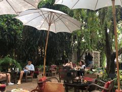 -Fern Forest Cafe