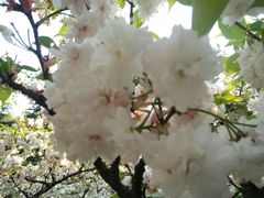 -白塘生态植物园