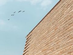 -盘龙城国家考古遗址公园