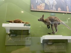 -国家自然博物馆