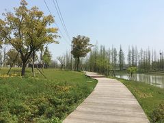 -海宁鹃湖公园