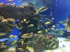 -海合安成都极地海洋公园