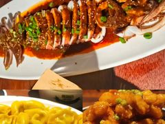 -前海沿·青岛菜(五四广场永旺店)