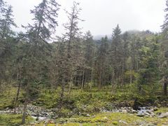 -硗碛藏寨·神木垒景区