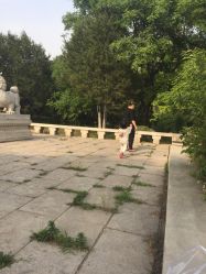 点击看大图 -大望京儿童游乐场