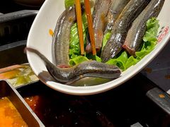 -洞子口重庆鲜货火锅(楚翘城旗舰店)