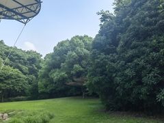 -苏州河梦清园环保主题公园