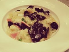 鱼肚-广玉兰上海菜(德平店)