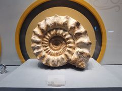 -湖南省地质博物馆