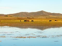 -塞罕坝国家级自然保护区