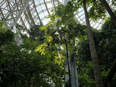 -郑州植物园