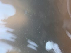 -陆地游轮吉林神农温泉