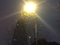-月圆火锅(宁海东路二店)