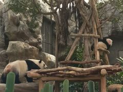 -香港海洋公园