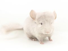 -龙猫仔乐园(惠福东路店)