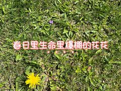 -上海交通大学医学院附属瑞金医院(总院)