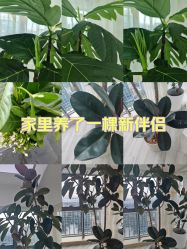 -HEYAN荷妍专业脱毛连锁机构