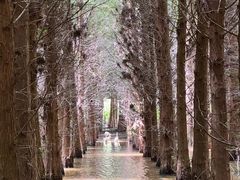 -捞渔河湿地公园