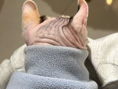 -平行世界·猫咖(首经贸店)