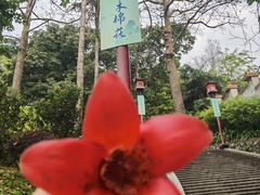 -广州中山纪念堂