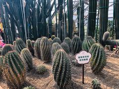 -南山植物园