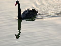 -华东政法大学(松江校区)