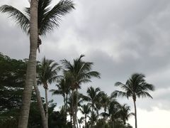 -巴拉湾海滩