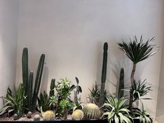 -J Create城市露营咖啡·简餐·宠物(上海动物园店)