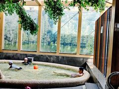 -御池园(顾村公园店)