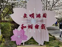 -高东镇樱花园