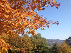 iphone_upload_pic-北京中信金陵酒店