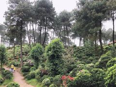 -南山植物园